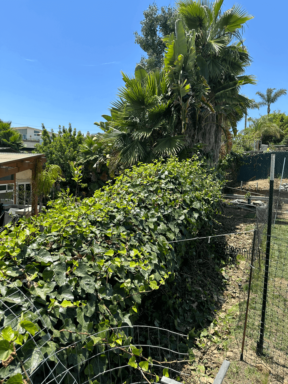 overgrown vegetation san diego fence construction