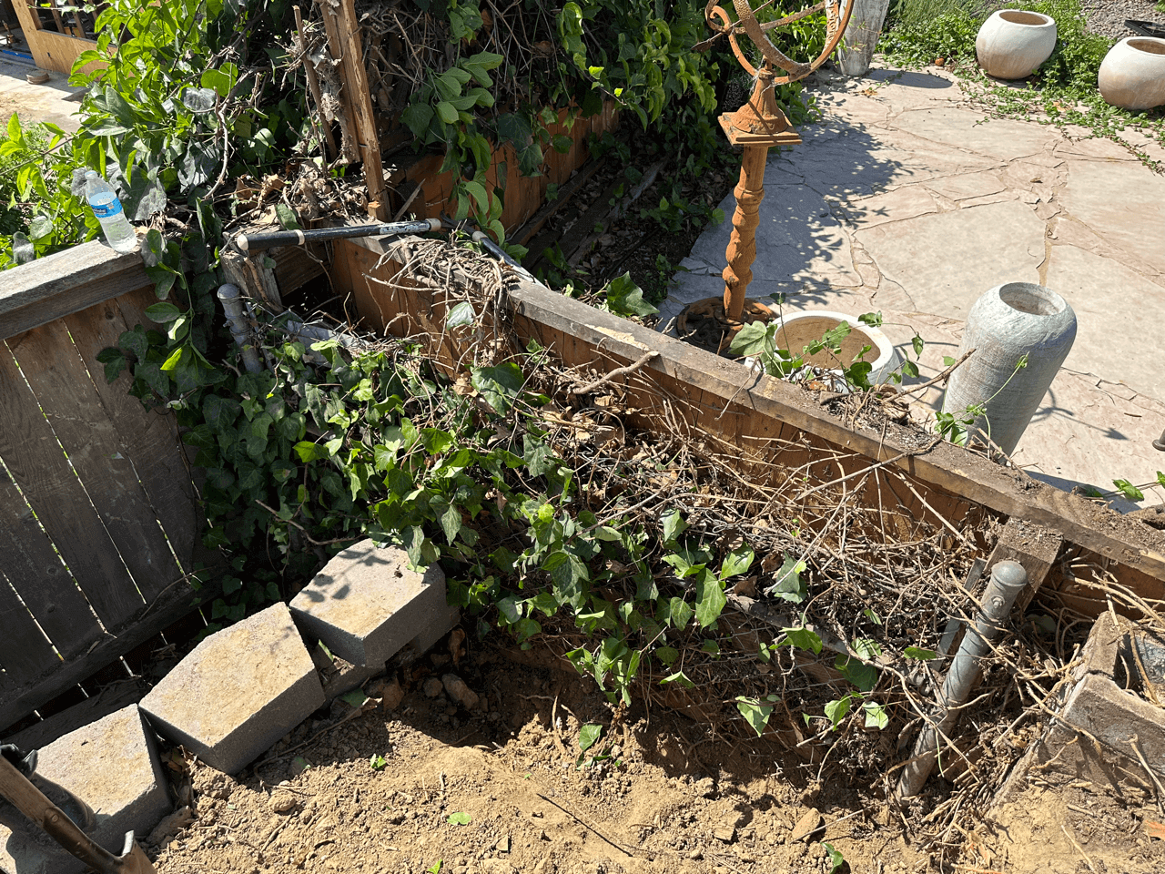 wooden retaining wall overgrown.