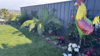 custom fence design san diego