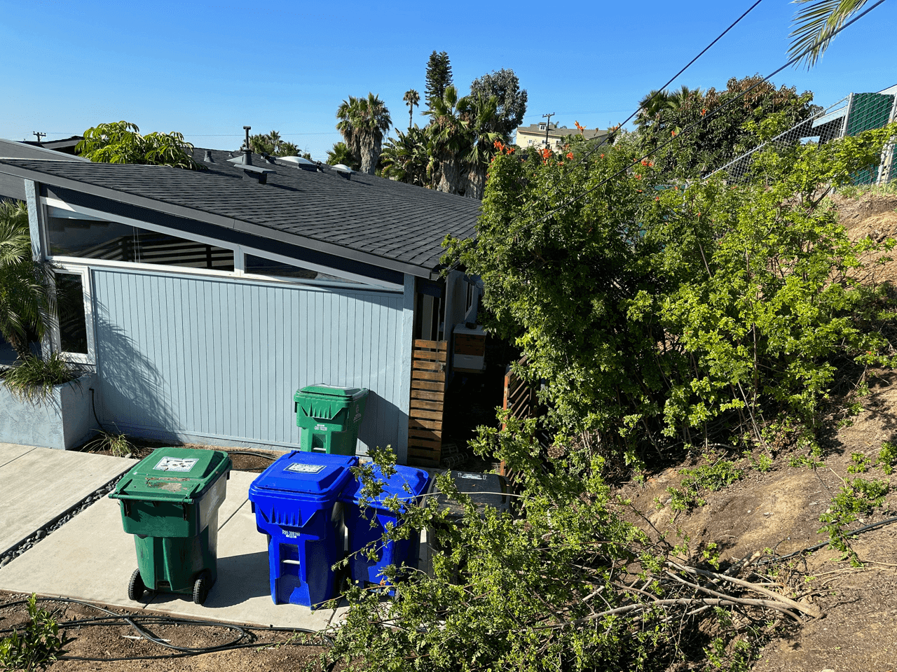 overgrown landscape san diego