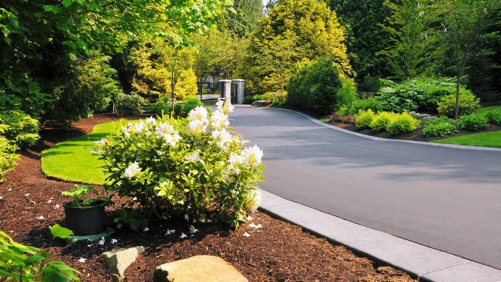 Institutional Landscaping Services in San Diego