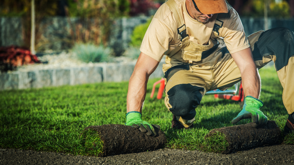 Landscaping Design San Diego