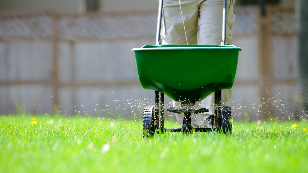 Lawn Treatment Services in San Diego