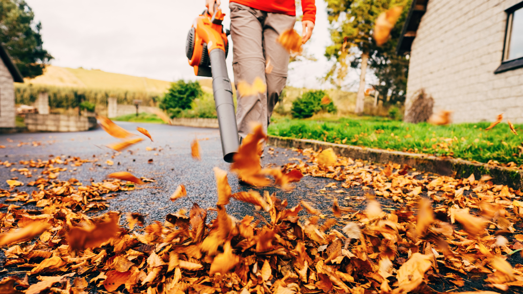 Leaf Cleanup Services in San Diego