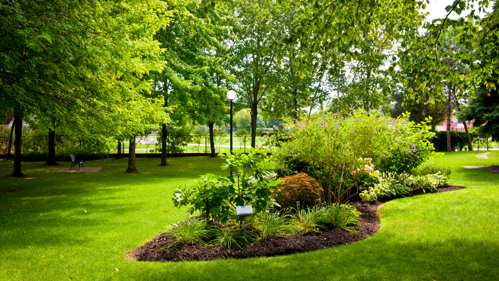 Recreational Landscaping Services in San Diego