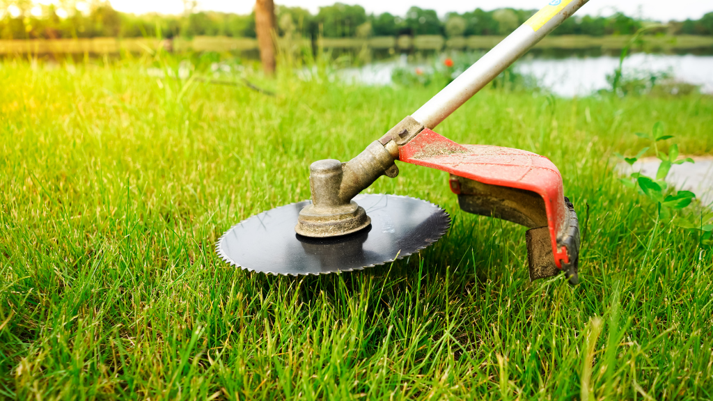 San Diego CA Lawn Care Services