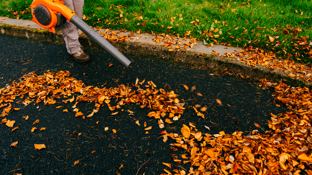 San Diego Leaf Cleanup Services