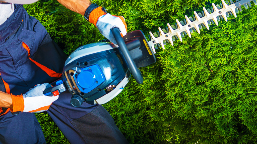 San Diego Shrub Trimming Services