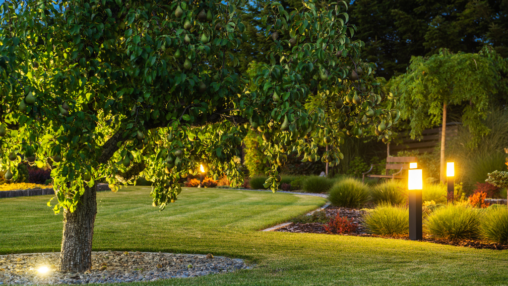 San Diego Outdoor Lighting