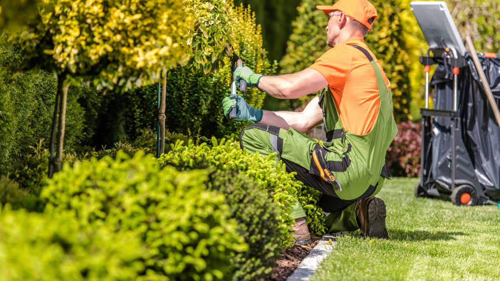 San Diego Shrub Trimming