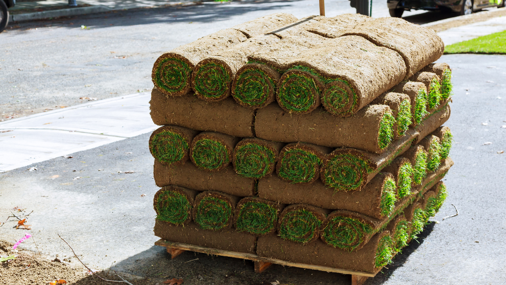 San Diego Sod Installers