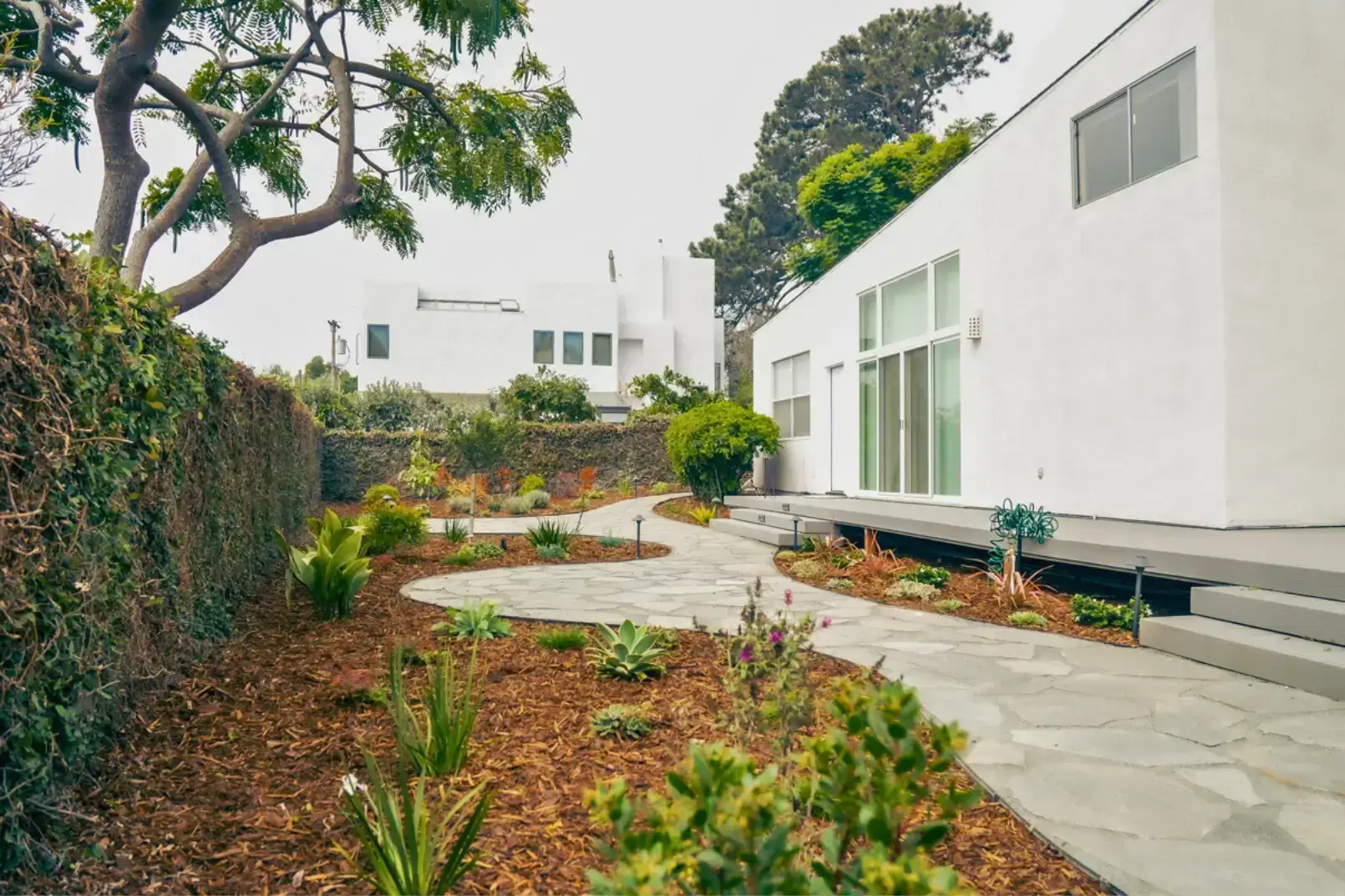 modern residential landscape renovation san diego